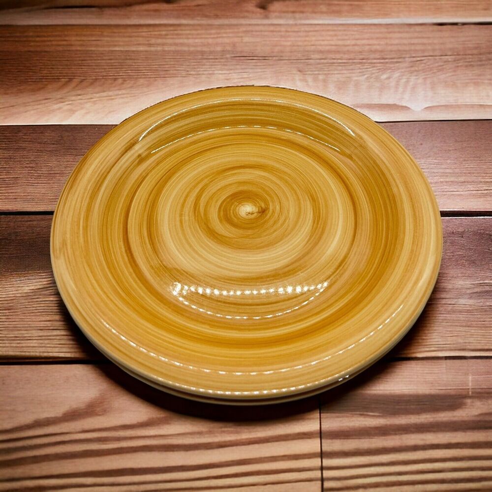 Set Of 2 Citrus Grove Tan Brown 10 5/8in Dinner Plates